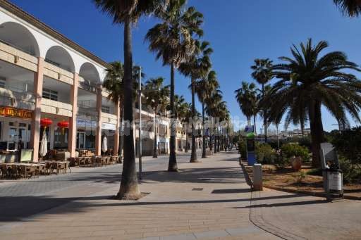 Colonia de Sant Jordi Palmenallee