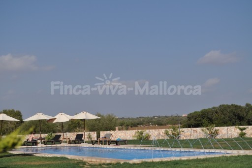 Finca-Hotel Colonia
