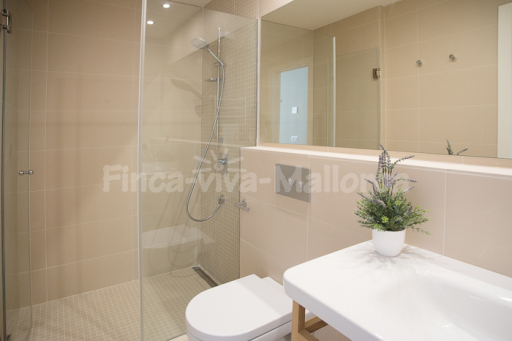 Villa Ferrer de Shorta