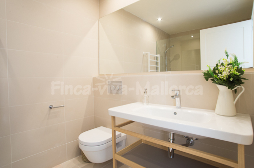 Villa Ferrer de Shorta