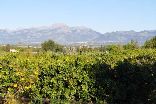 Finca Hermosa de Muro 03 2015 (61).JPG