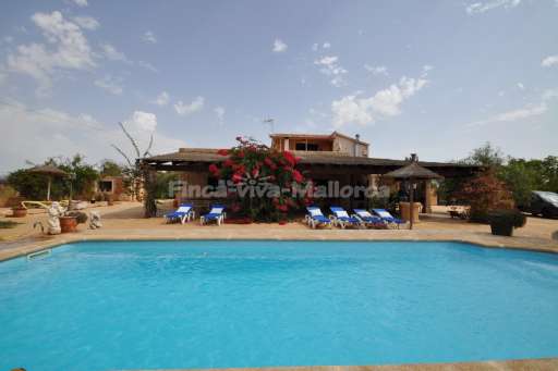 Finca Tolo