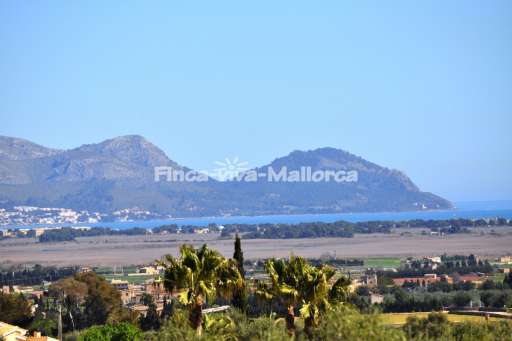 Finca Verde de Muro Marzo2015 (142).JPG