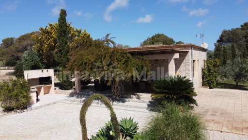 Finca Betanca
