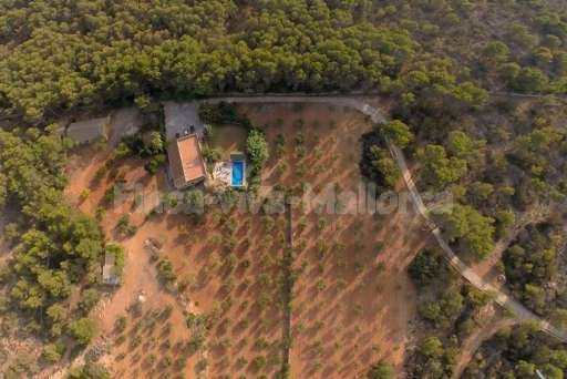 Finca Bota Ses Palmeres