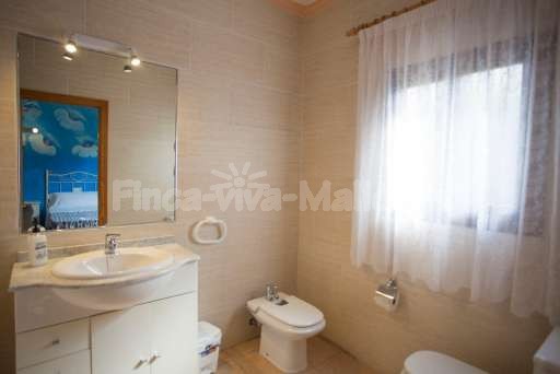 Finca Bota Ses Palmeres