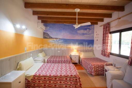 Finca Bota Ses Palmeres