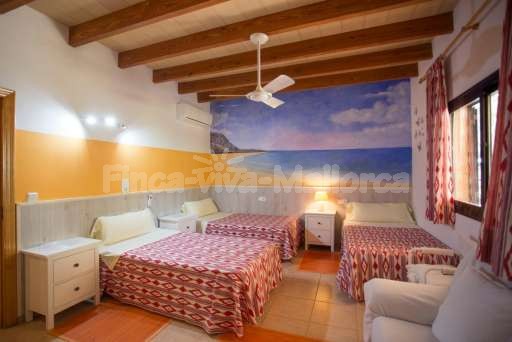 Finca Bota Ses Palmeres