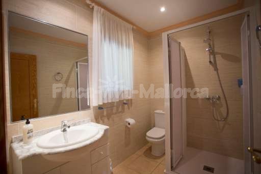 Finca Bota Ses Palmeres