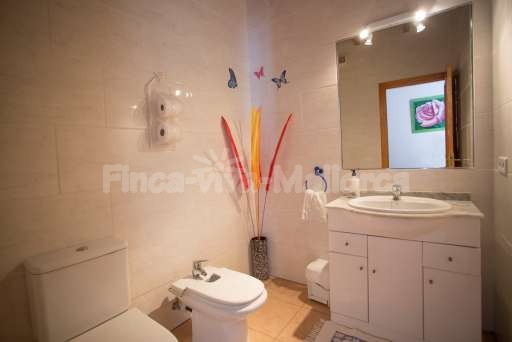 Finca Bota Ses Palmeres