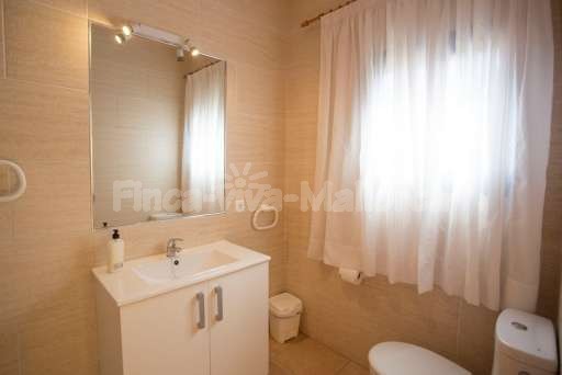 Finca Bota Ses Palmeres