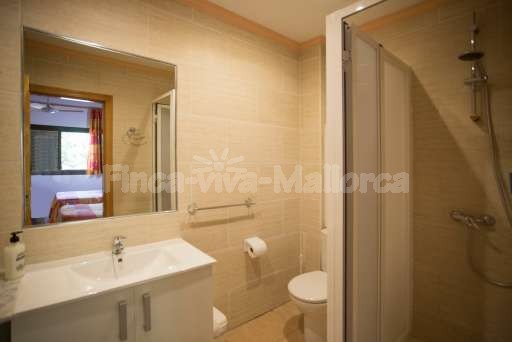 Finca Bota Ses Palmeres