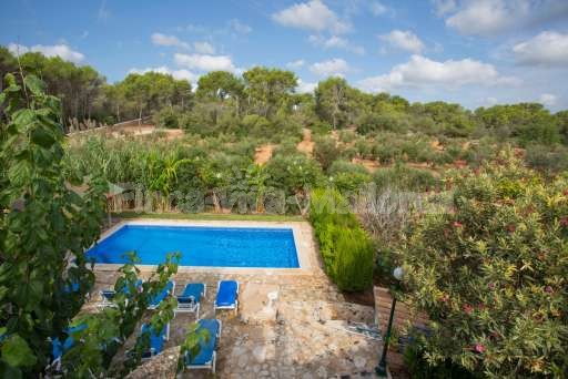 Finca Bota Ses Palmeres