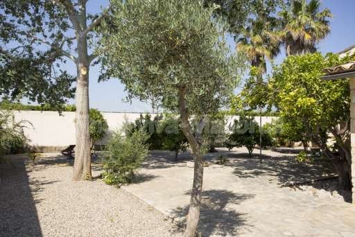 Finca Briel Albufera