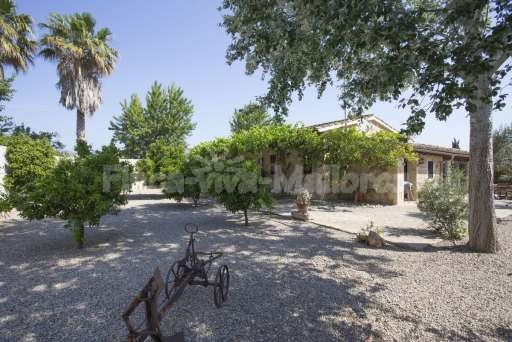 Finca Briel Albufera