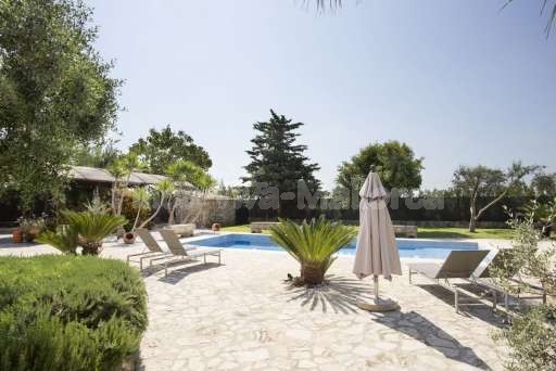 Finca Briel Albufera