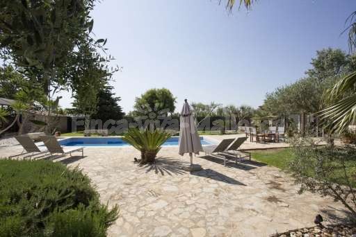 Finca Briel Albufera