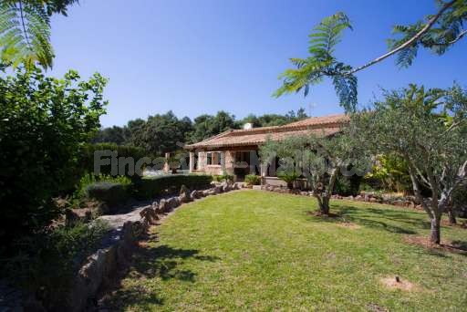Finca Cantor Pollenca, Haus, Garten, Rasenfläche, Baumschatten