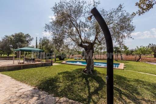 Finca Carratxet Buger