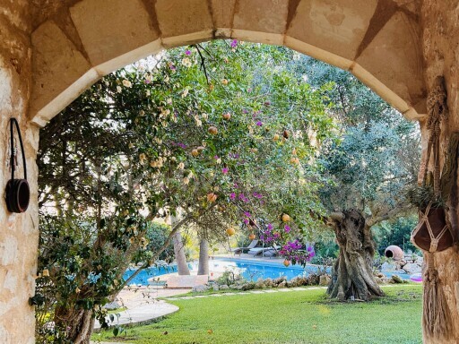 Finca Fuente Ses Salines