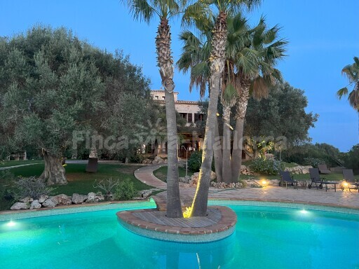 Finca Fuente Ses Salines