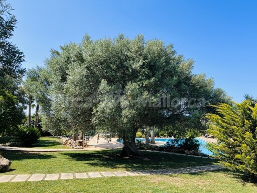 Finca Fuente Ses Salines