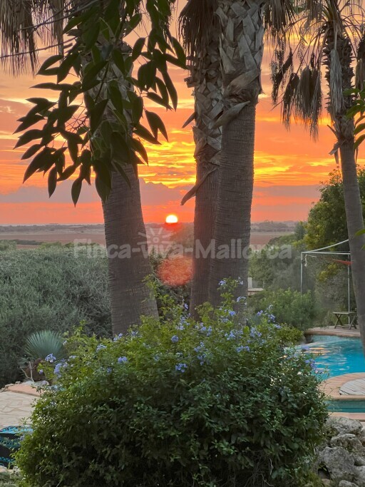 Finca Fuente Ses Salines