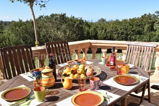 Finca Fuente Ses Salines