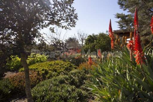 Finca Ines Son Serra de Marina