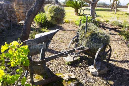 Finca Ines Son Serra de Marina