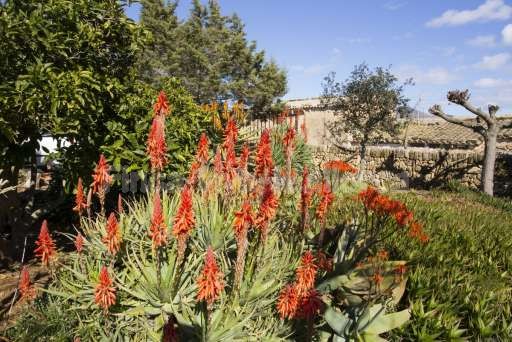 Finca Ines Son Serra de Marina