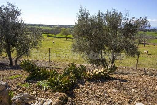 Finca Ines Son Serra de Marina