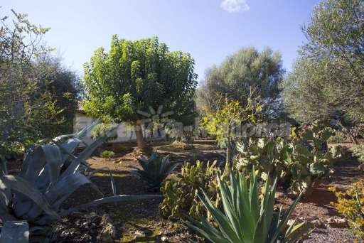 Finca Ines Son Serra de Marina