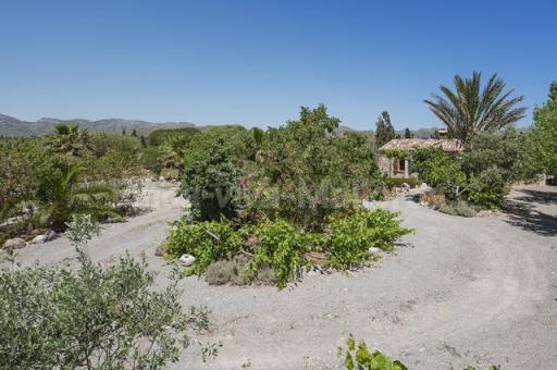 Finca Jardin Palmeras