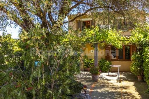 Finca Marinova Pollenca, Terrasse, Baumschatten