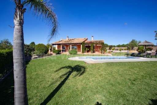 Finca Olivo Muro, Garten, Palme, Pool, Haus