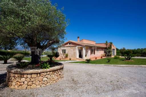 Finca Olivo Muro, Haus, Garten, Einfahrt