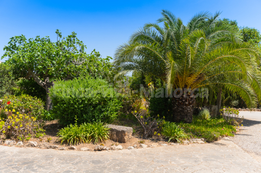 Finca Palleta
