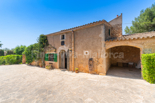 Finca Palleta