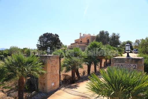 Finca Palmo 2 Can Picafort