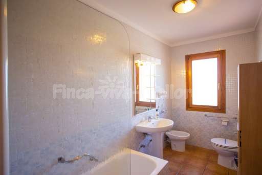 Finca Palmo 1 Can Picafort