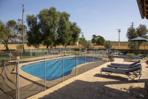 Finca Perrotti Manacor, Pool, umzäunter Pool, Sonnenliege