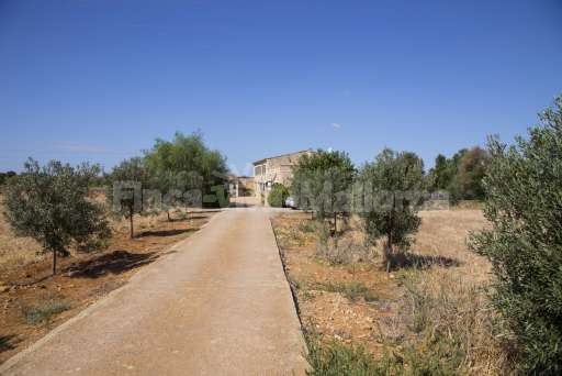 Finca Perrotti Manacor, Zufahrt zum Haus