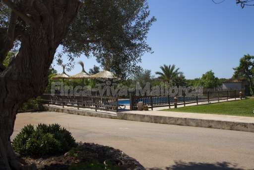 Finca Sareta Santa Margalida, umzäunter Pool, Sonnenschirm, Garten