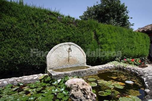 Finca Sergi Pollenca, Brunnen, Seerosen