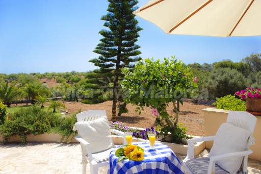 Finca Torrent des Jai