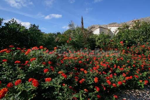 Finca Can Rosa Pollenca