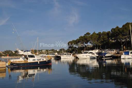 Hafen Porto Petro Mallorca (50).JPG
