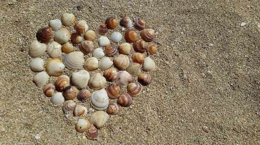 Platja des Dolç