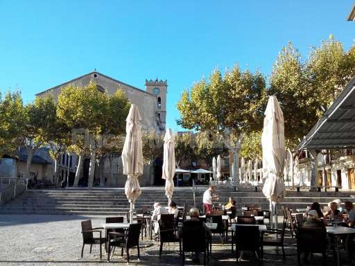 Marktplatz Pollenca Mallorca